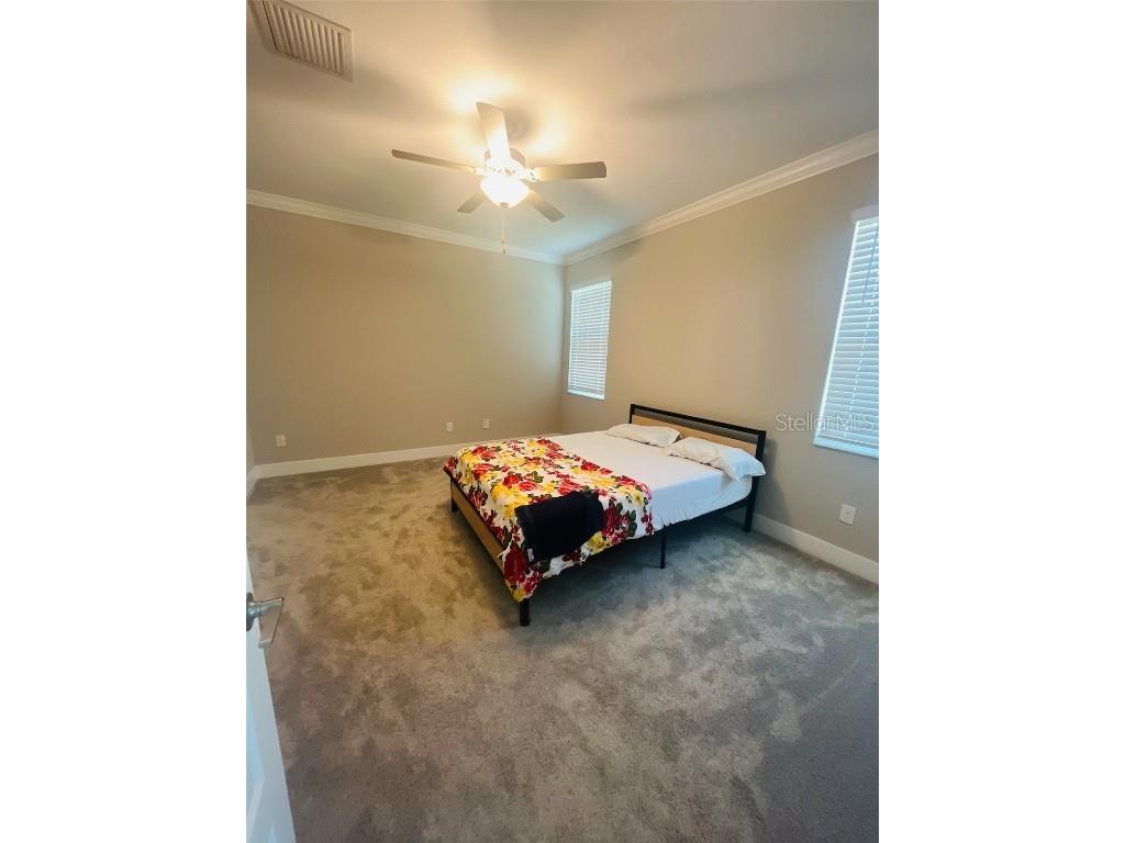 9813 Little Bluestem Drive Land O Lakes FL 34637 TB8457343 image20