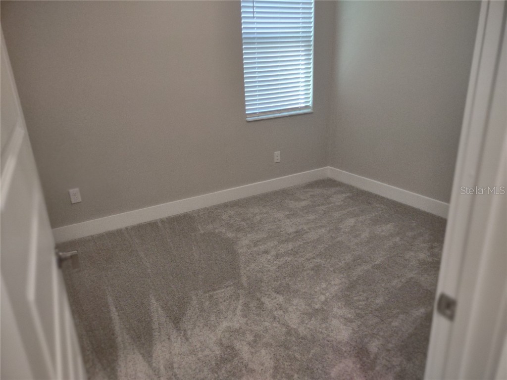 9813 Little Bluestem Drive Land O Lakes FL 34637 TB8457343 image21