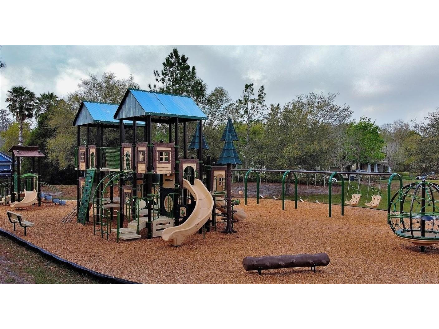 9813 Little Bluestem Drive Land O Lakes FL 34637 TB8457343 image3