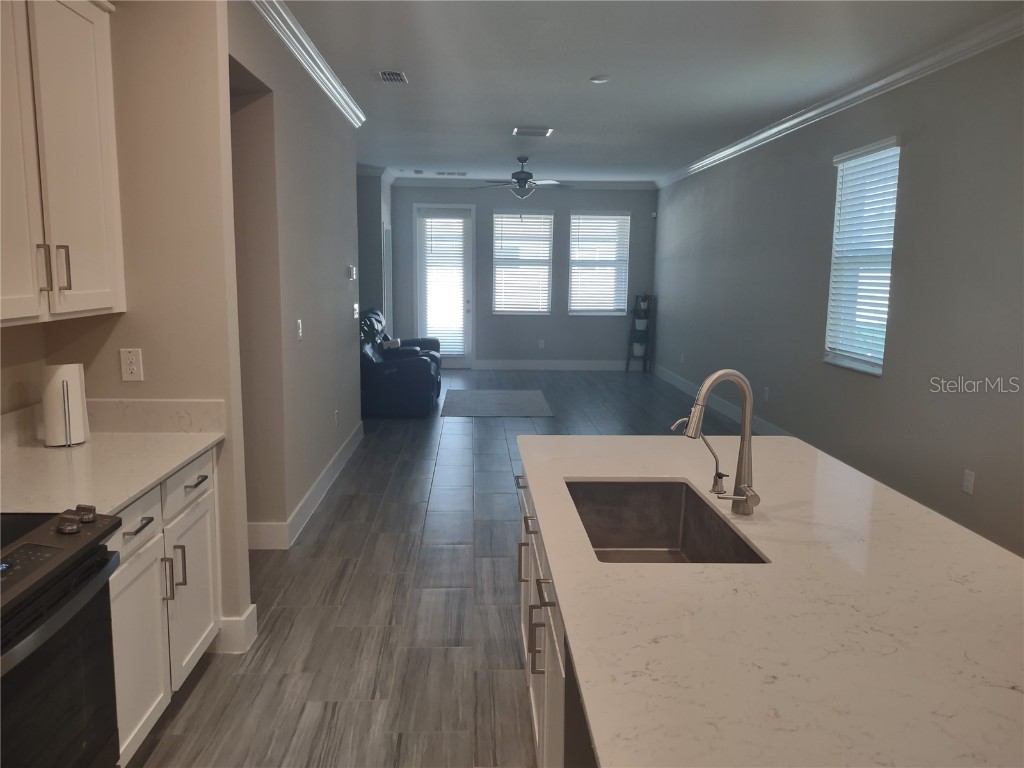 9813 Little Bluestem Drive Land O Lakes FL 34637 TB8457343 image8