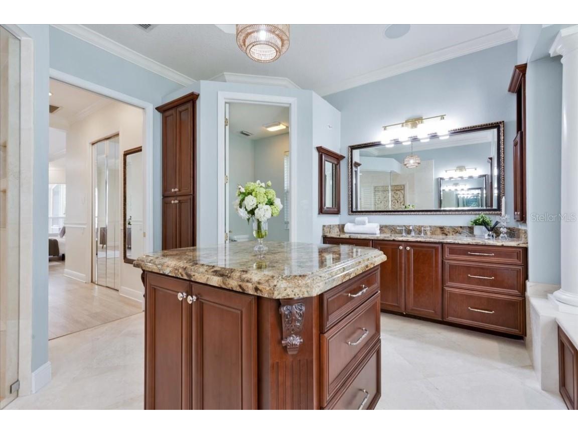 9814 Emerald Links Drive Tampa FL 33626 TB8450150 image30