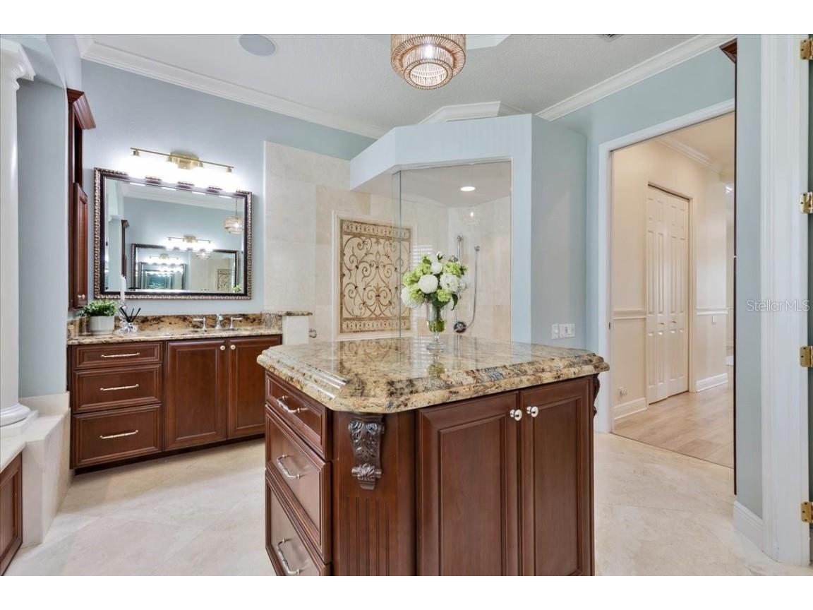 9814 Emerald Links Drive Tampa FL 33626 TB8450150 image33