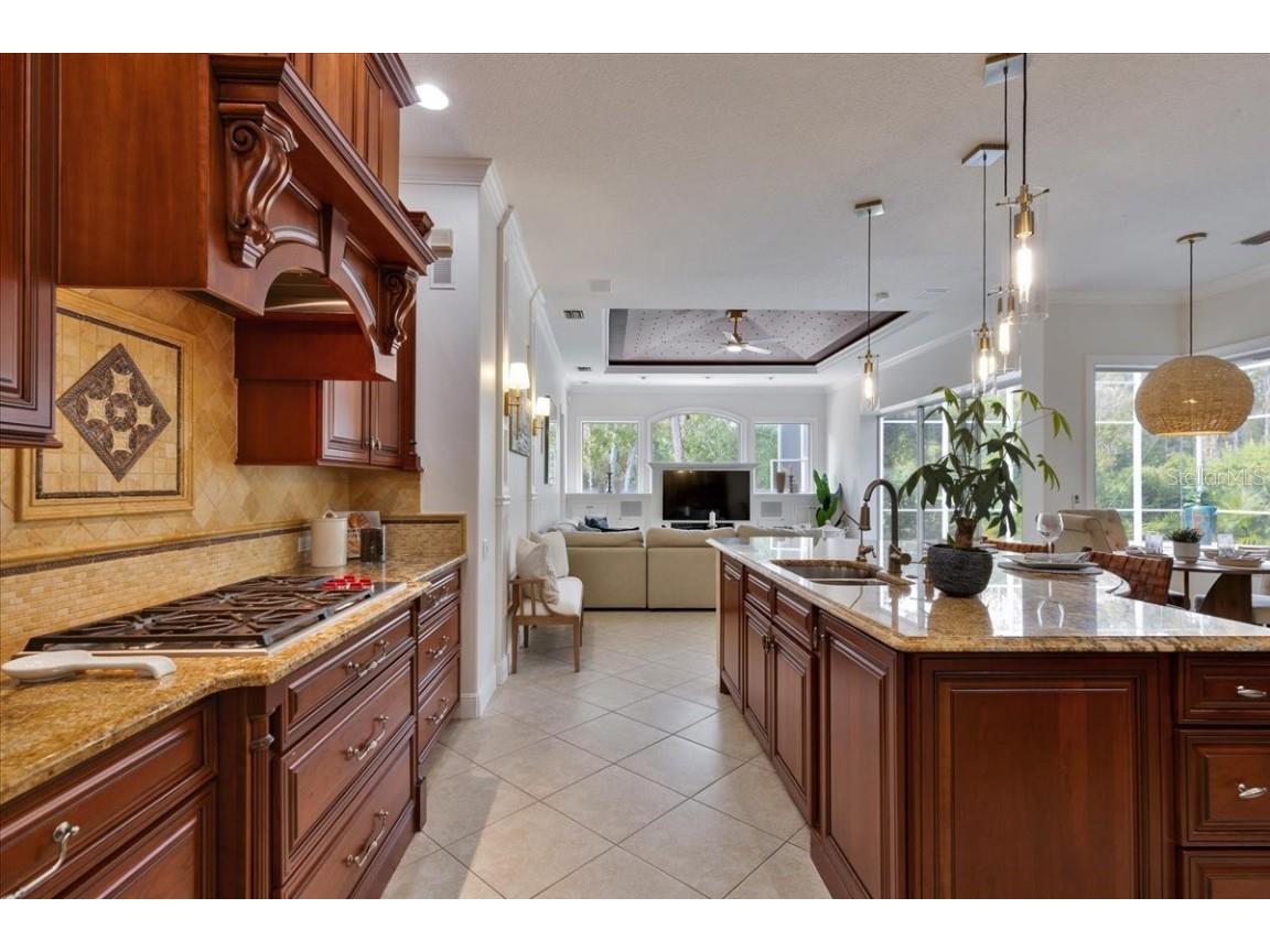 9814 Emerald Links Drive Tampa FL 33626 TB8450150 image40