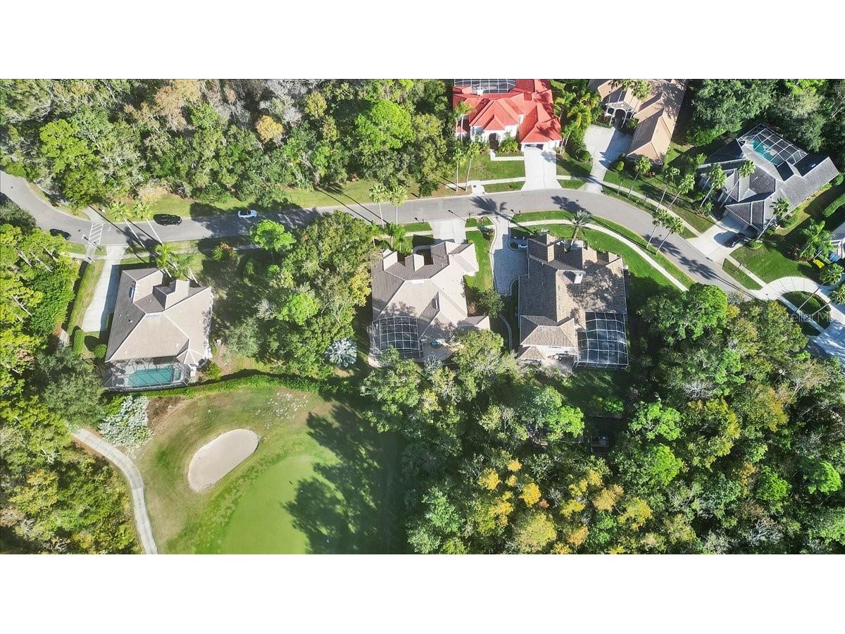 9814 Emerald Links Drive Tampa FL 33626 TB8450150 image81