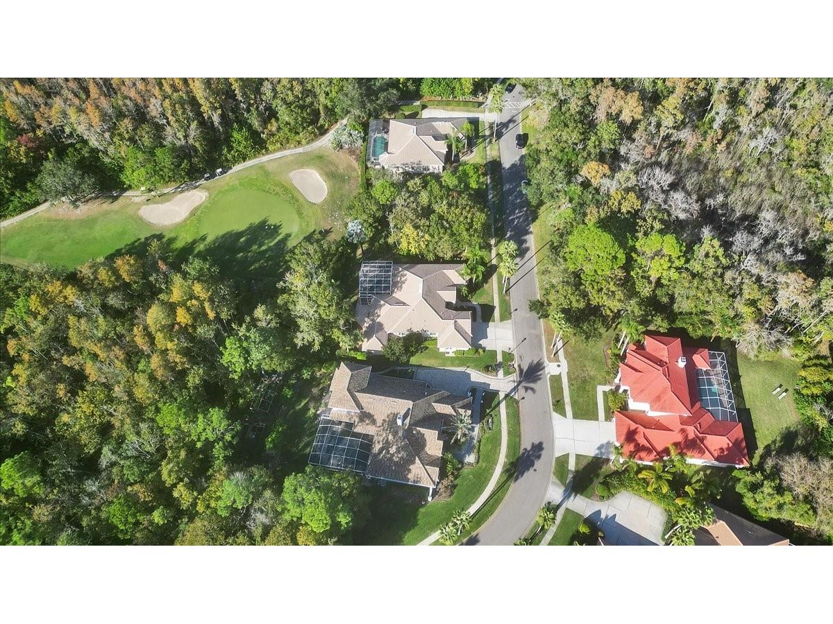 9814 Emerald Links Drive Tampa FL 33626 TB8450150 image82