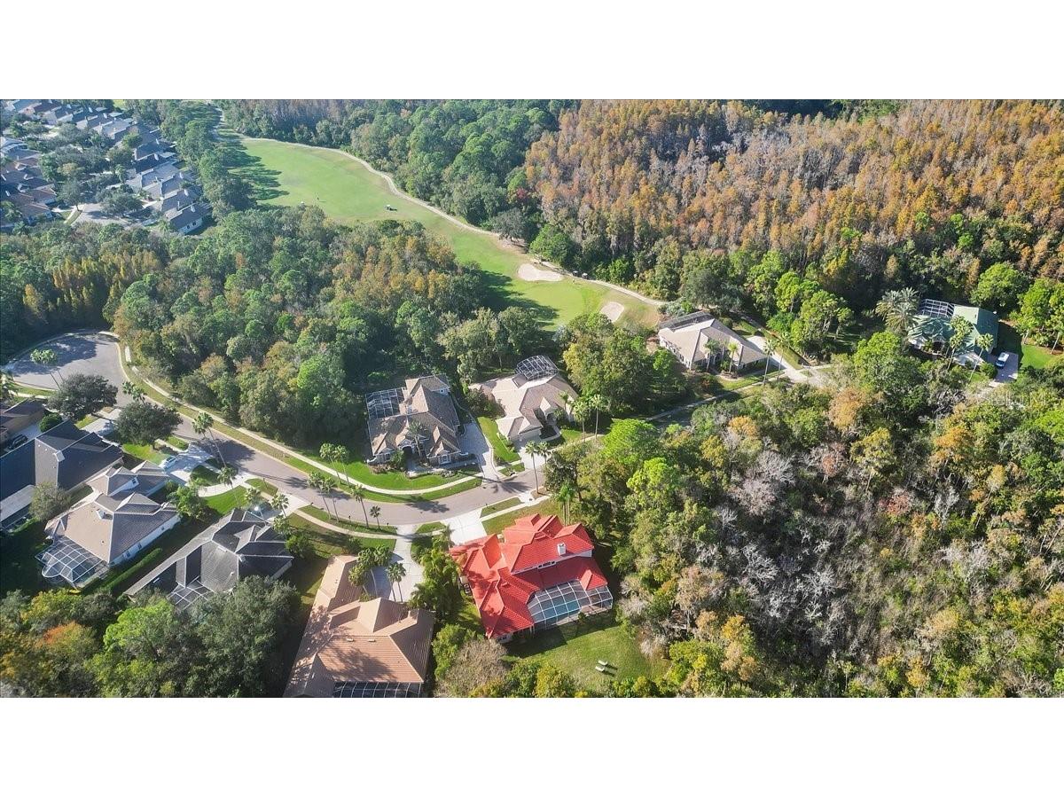 9814 Emerald Links Drive Tampa FL 33626 TB8450150 image83