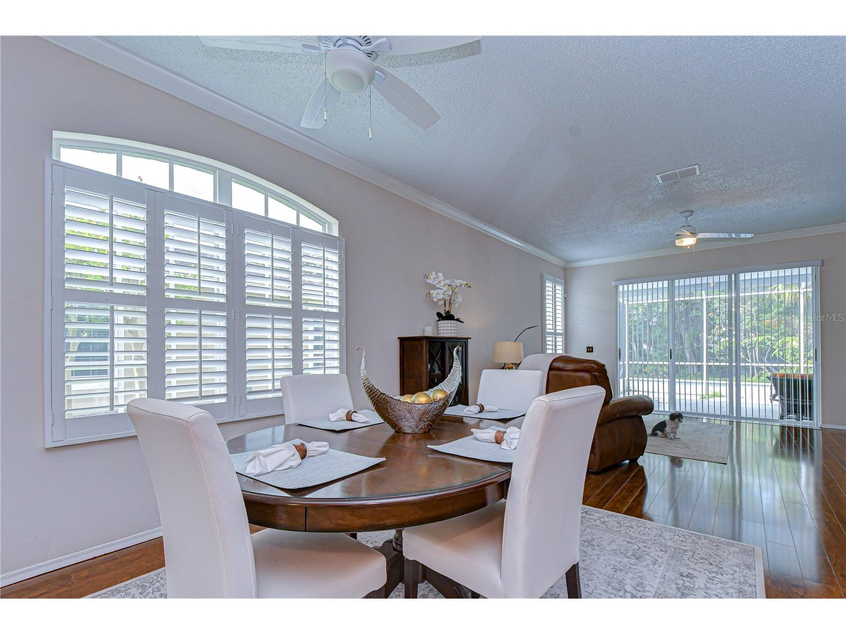 9815 Gingerwood Drive Tampa FL 33626 TB8504239 image10
