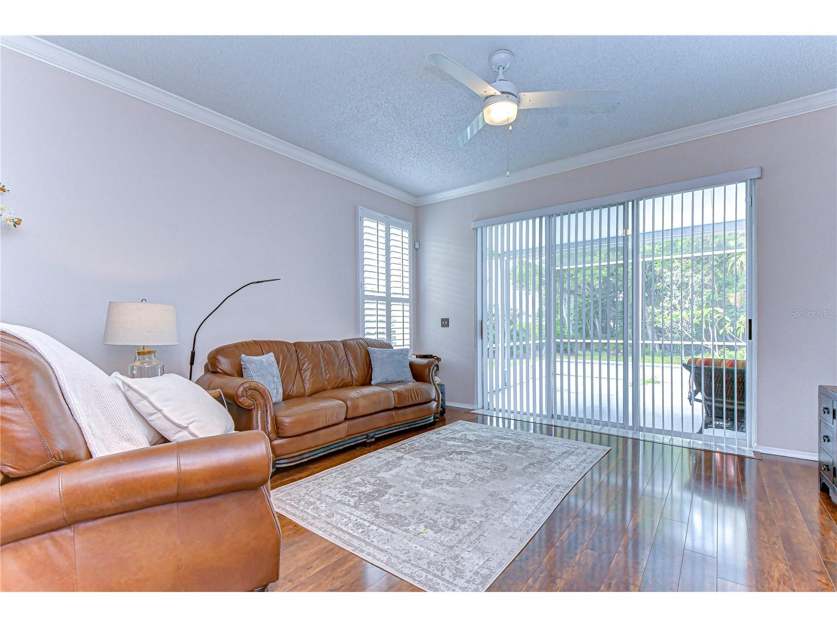 9815 Gingerwood Drive Tampa FL 33626 TB8504239 image13