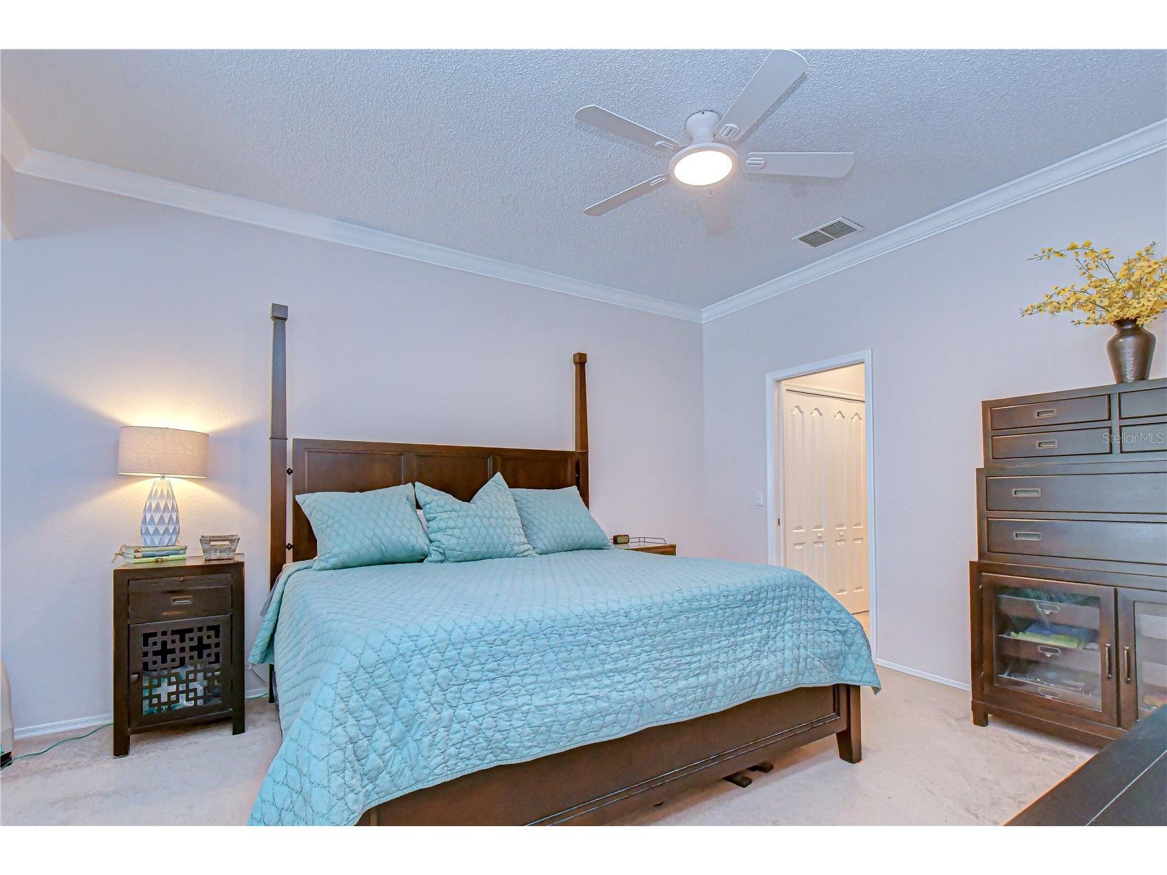 9815 Gingerwood Drive Tampa FL 33626 TB8504239 image25