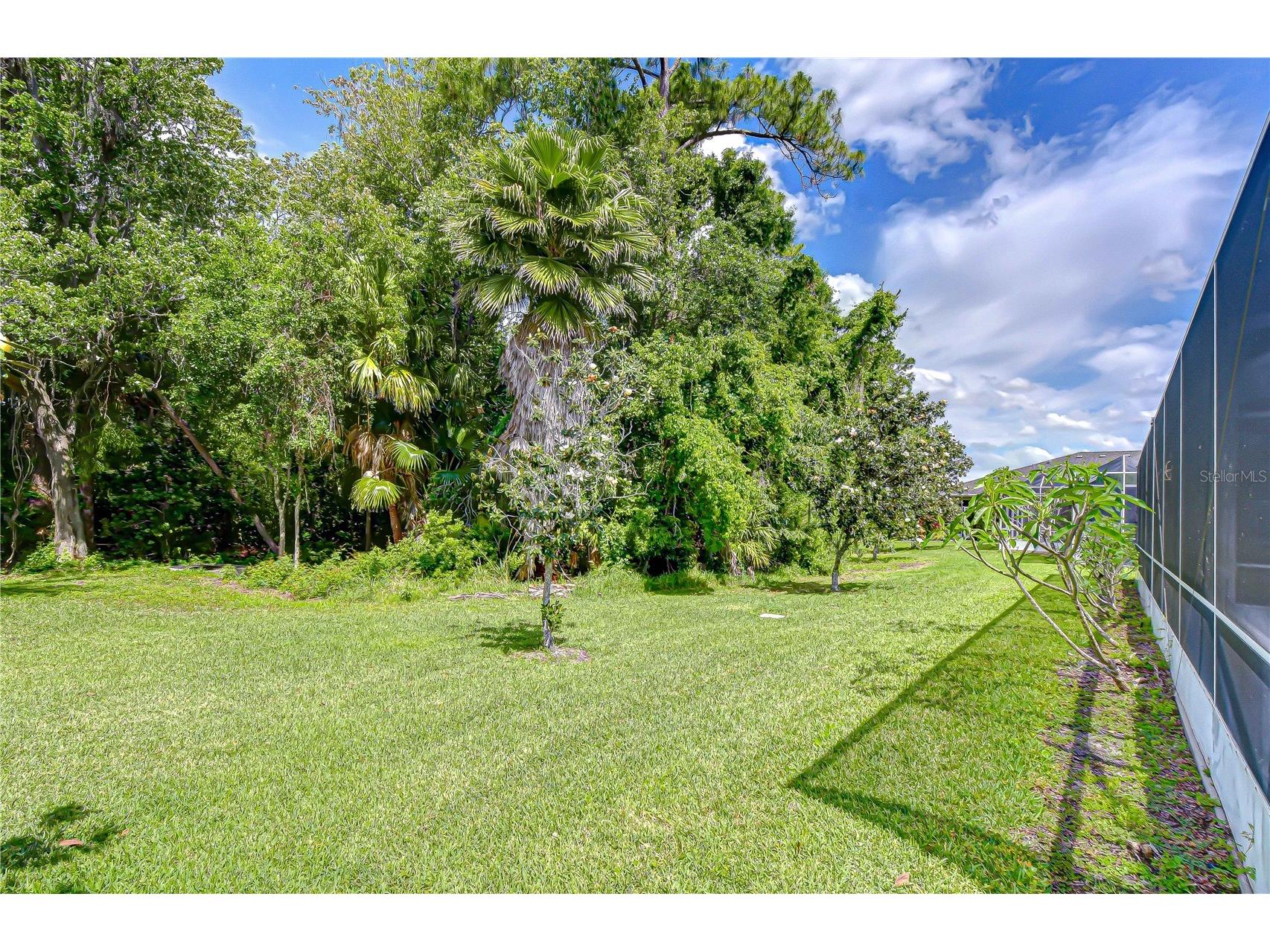 9815 Gingerwood Drive Tampa FL 33626 TB8504239 image39