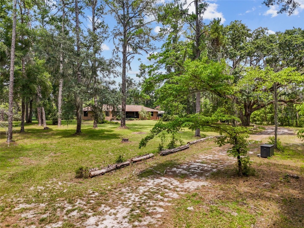 9816 87th Drive Live Oak FL 32060 GC532033 image35