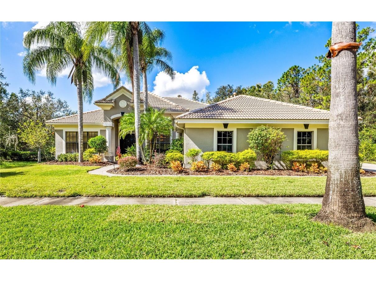 9816 Emerald Links Drive Tampa FL 33626 TB8317772 image1