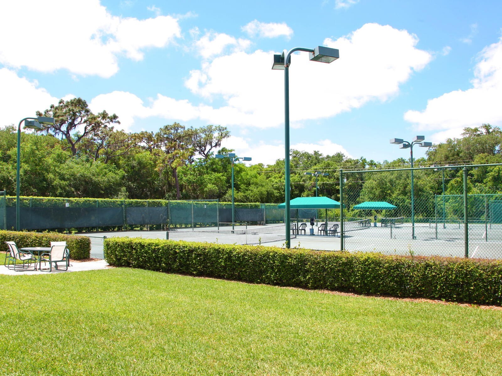 9817 Marbella Drive Bradenton FL 34211 A4682164 image53