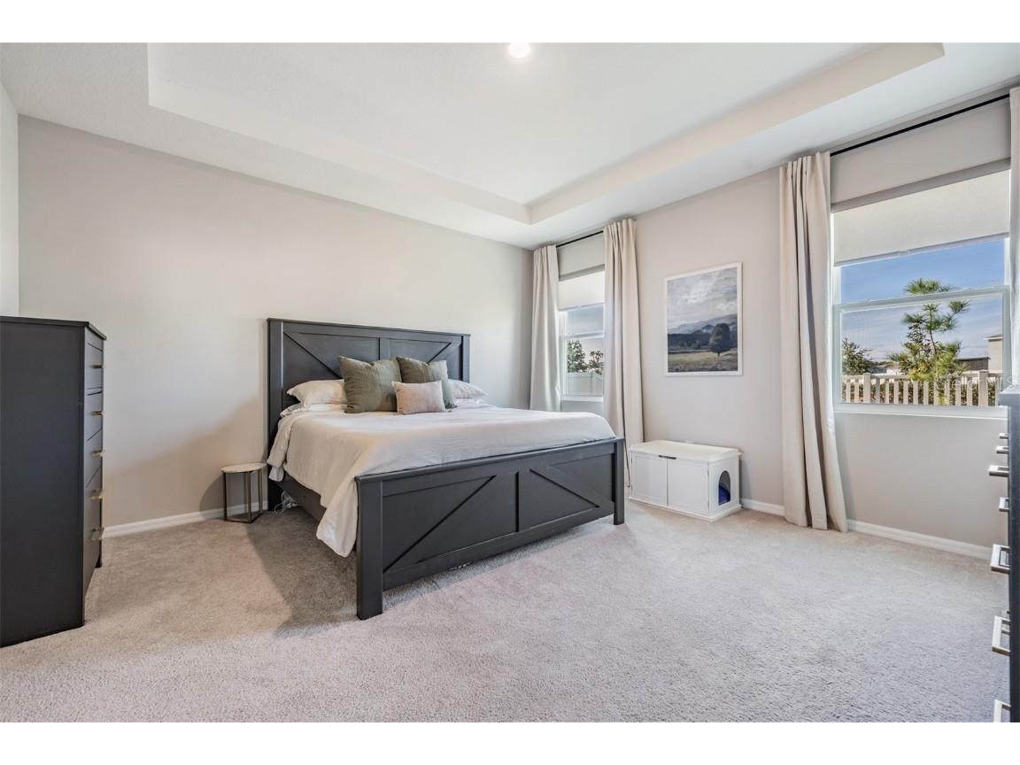 9817 Rowing Dale Bend Wesley Chapel FL 33545 TB8448326 image26