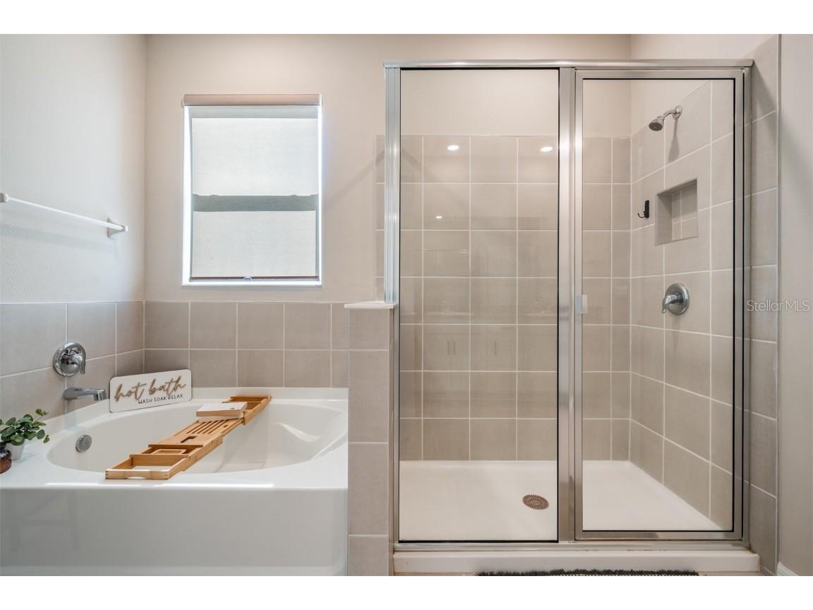 9817 Rowing Dale Bend Wesley Chapel FL 33545 TB8448326 image28