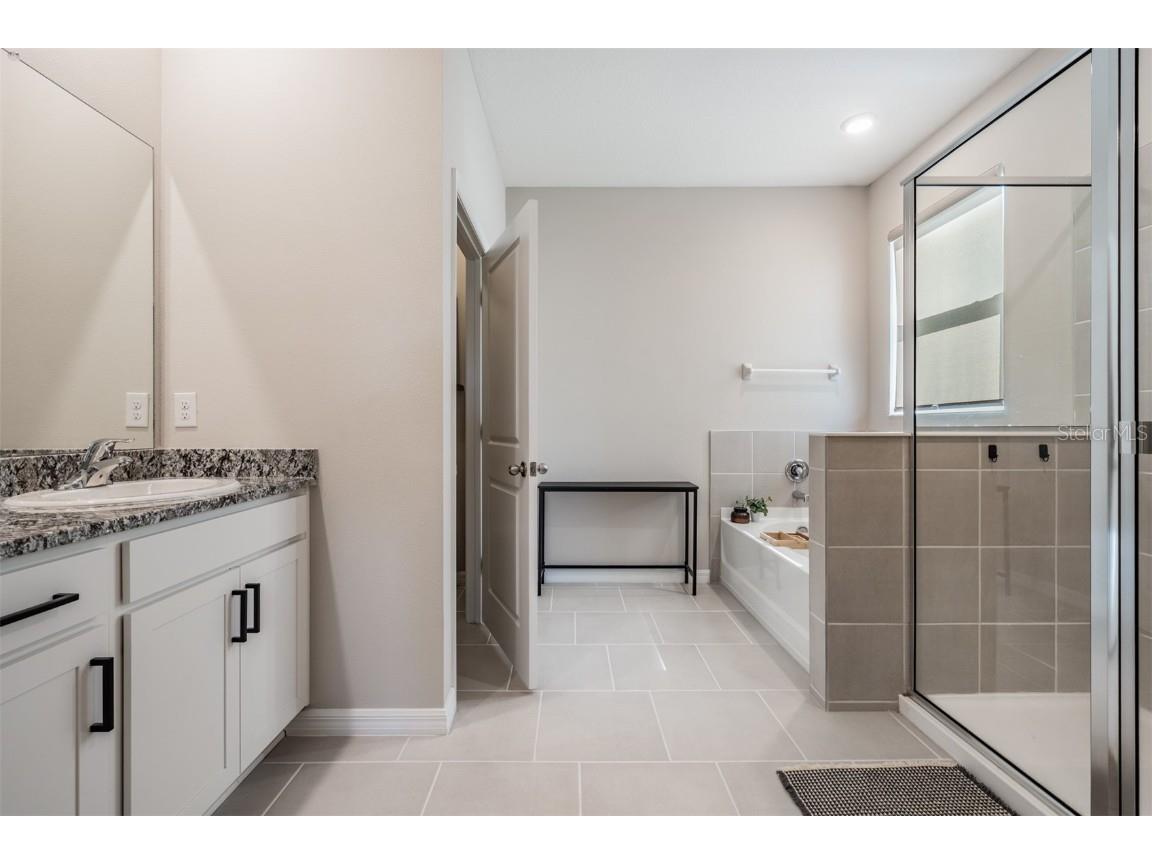 9817 Rowing Dale Bend Wesley Chapel FL 33545 TB8448326 image29