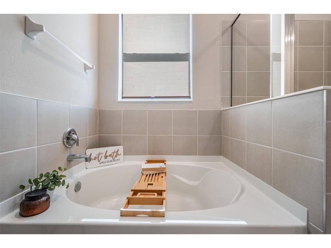 9817 Rowing Dale Bend Wesley Chapel FL 33545 TB8448326 image30