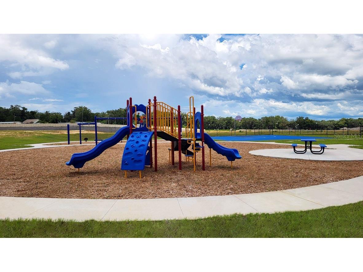 9817 SE 161st Lane Road Summerfield FL 34491 OM724427 image26