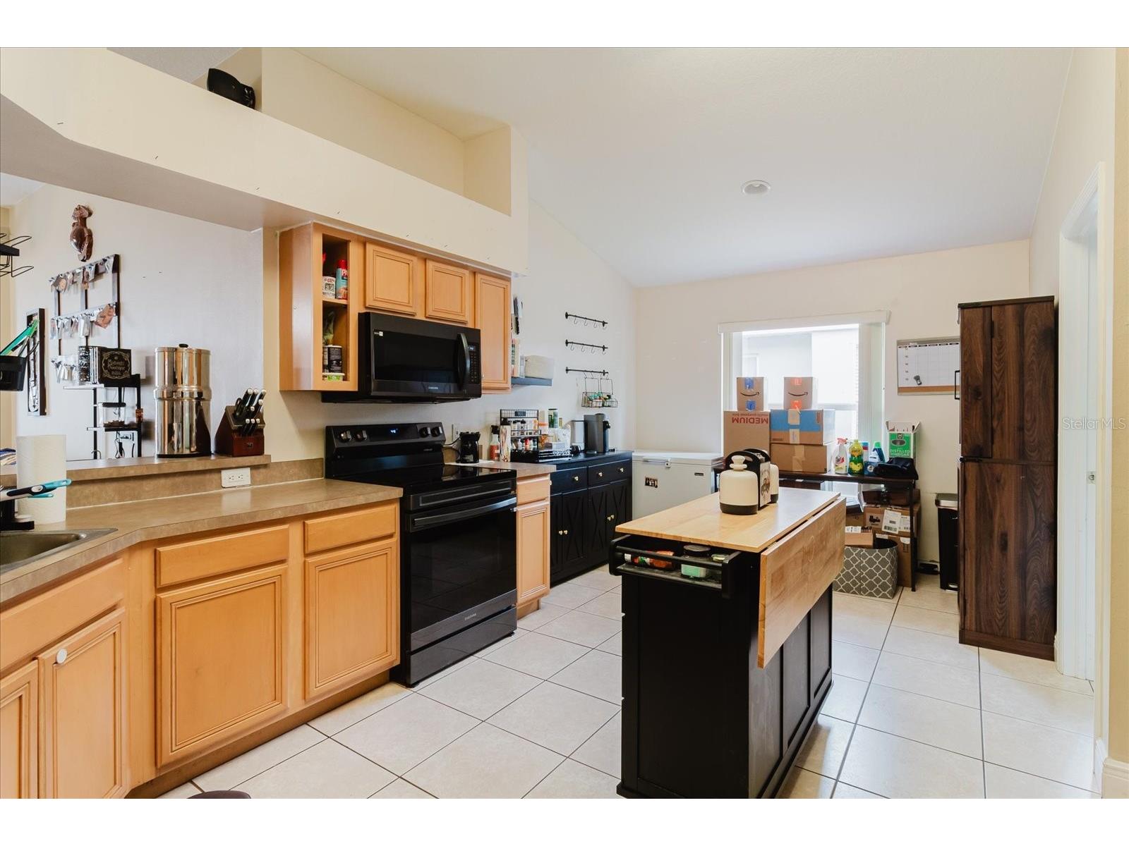 9817 White Barn Way Riverview FL 33569 TB8505559 image22
