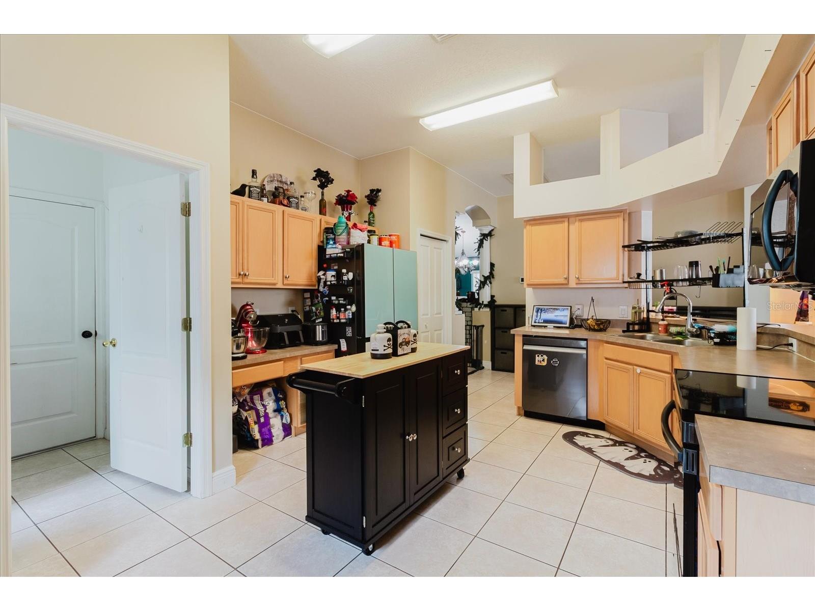 9817 White Barn Way Riverview FL 33569 TB8505559 image24