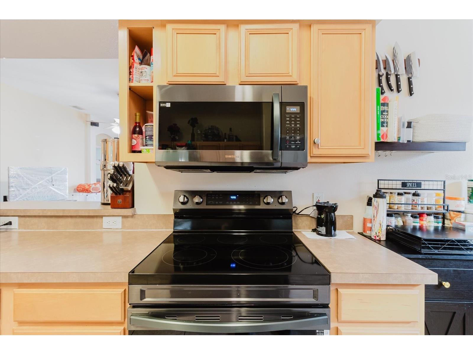 9817 White Barn Way Riverview FL 33569 TB8505559 image25