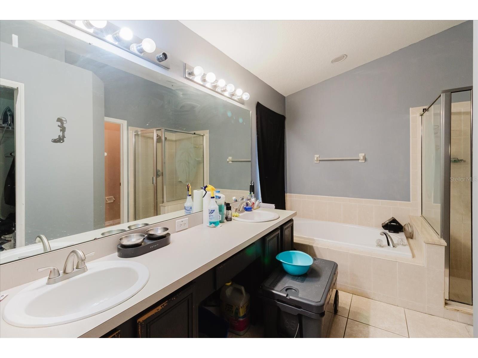9817 White Barn Way Riverview FL 33569 TB8505559 image34