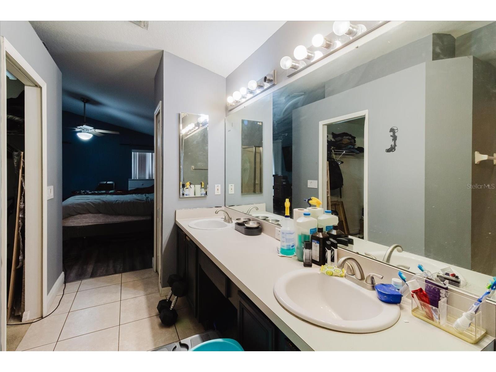 9817 White Barn Way Riverview FL 33569 TB8505559 image35