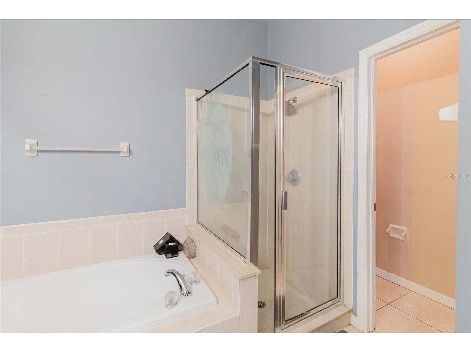 9817 White Barn Way Riverview FL 33569 TB8505559 image36