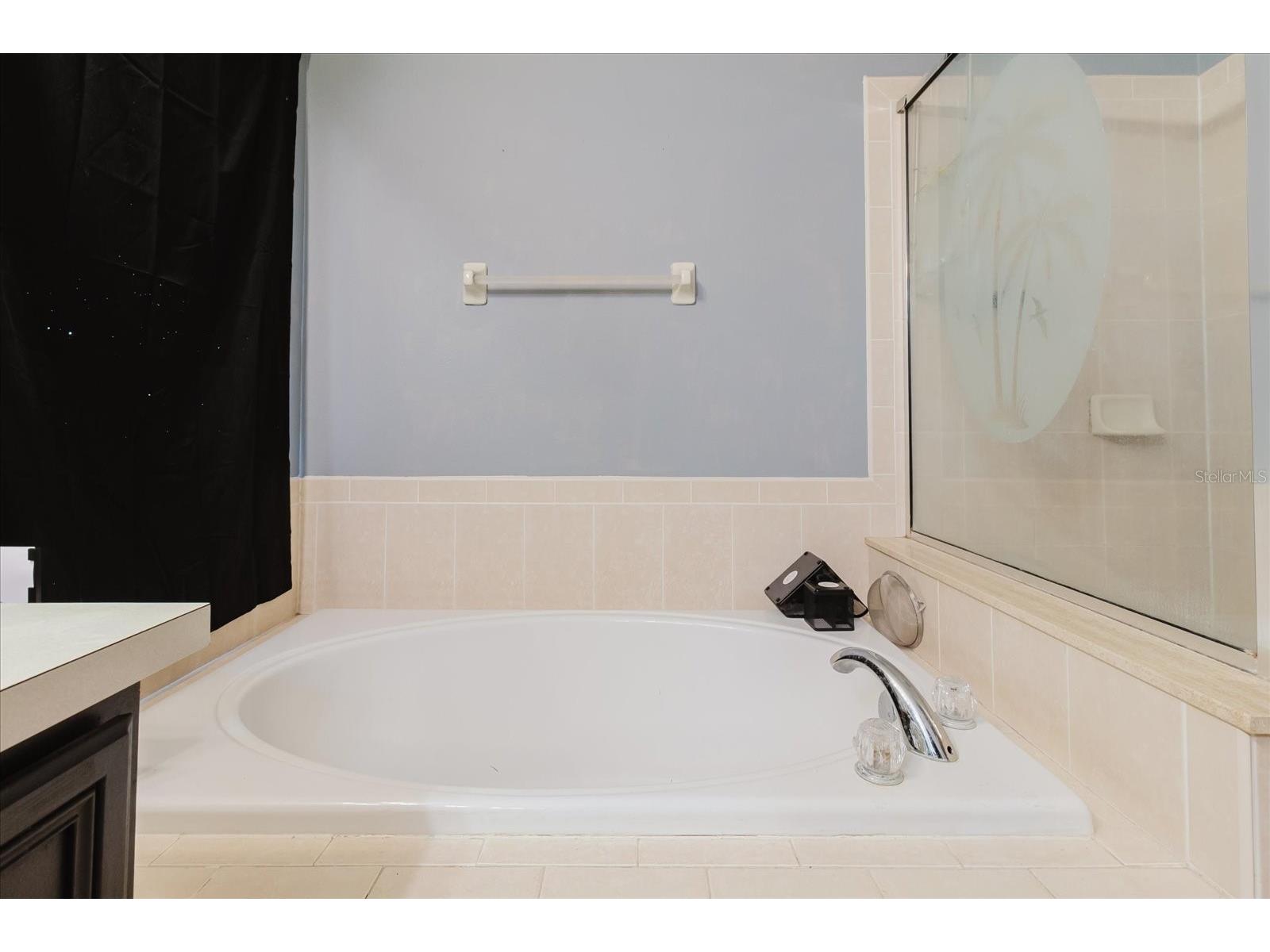 9817 White Barn Way Riverview FL 33569 TB8505559 image37