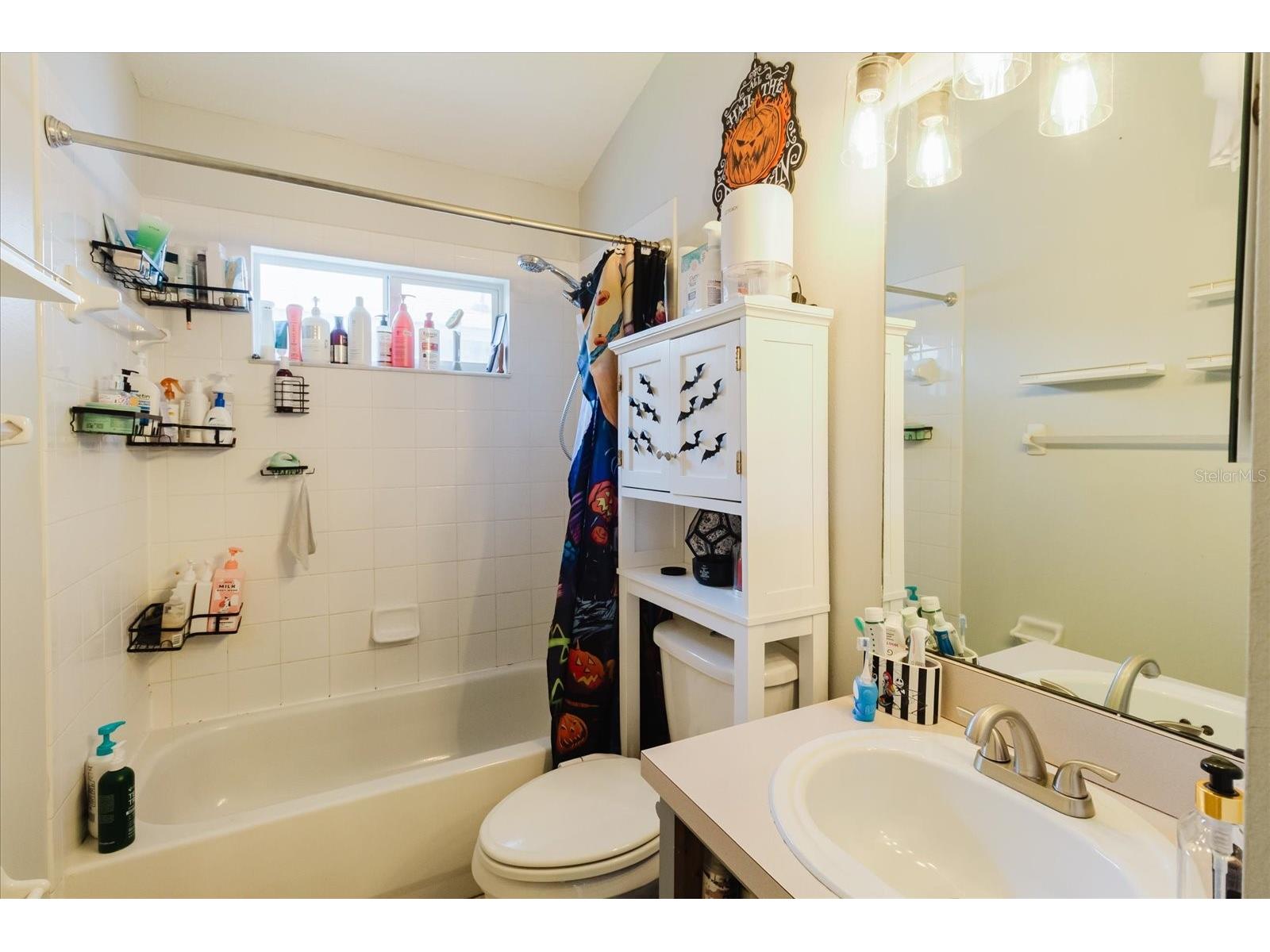 9817 White Barn Way Riverview FL 33569 TB8505559 image42