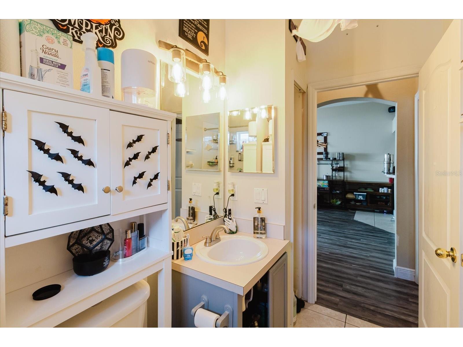 9817 White Barn Way Riverview FL 33569 TB8505559 image43