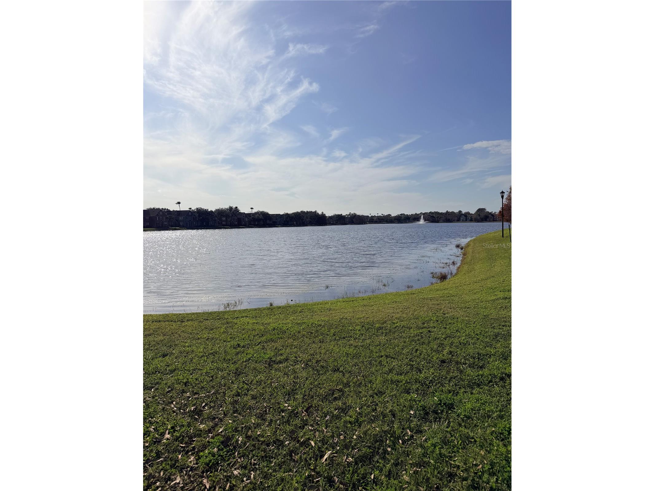 9818 Lake Chase Island Way #9818 Tampa FL 33626 TB8464326 image24