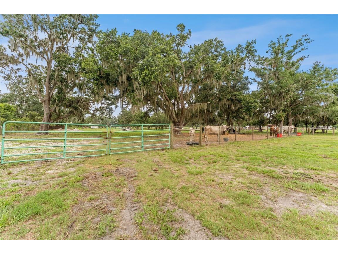 9819 Allen Road Lithia FL 33547 TB8396669 image36