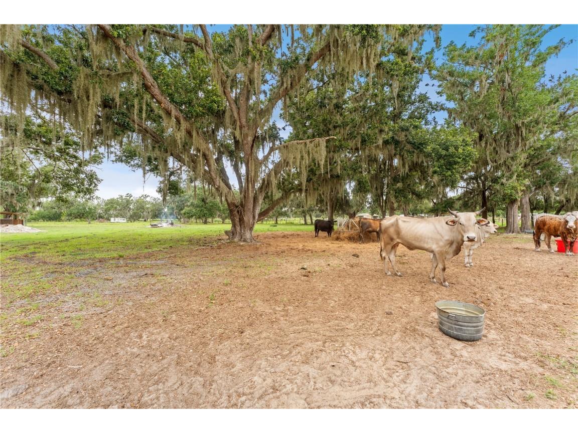 9819 Allen Road Lithia FL 33547 TB8396669 image37