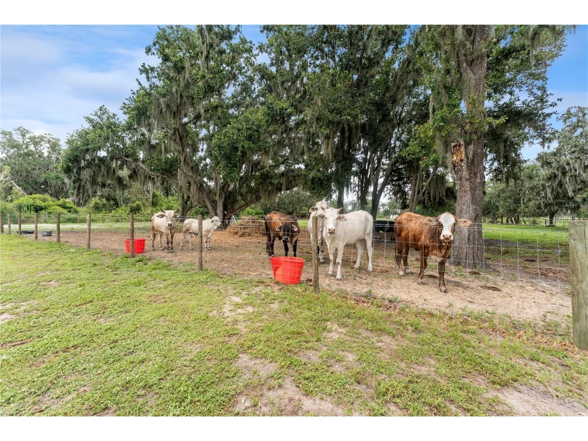 9819 Allen Road Lithia FL 33547 TB8396669 image38