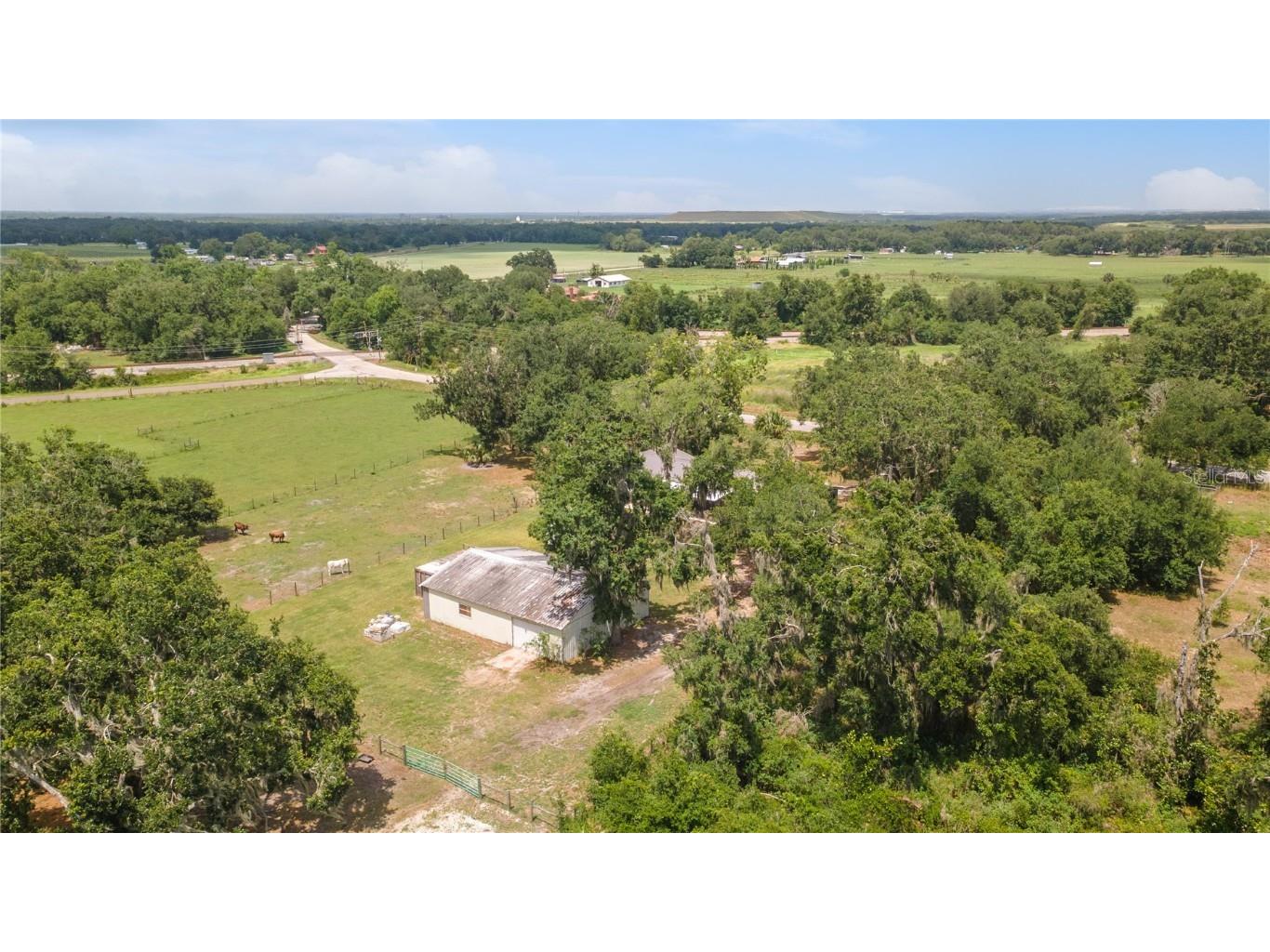 9819 Allen Road Lithia FL 33547 TB8396669 image39