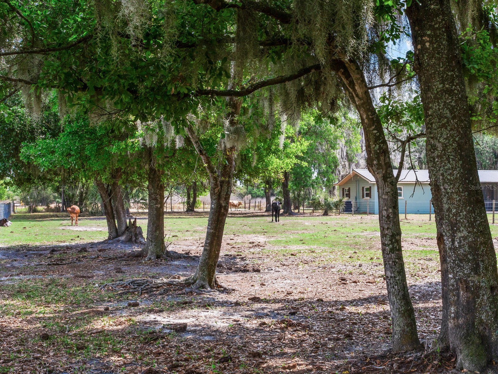 9819 Allen Road Lithia FL 33547 TB8492599 image48
