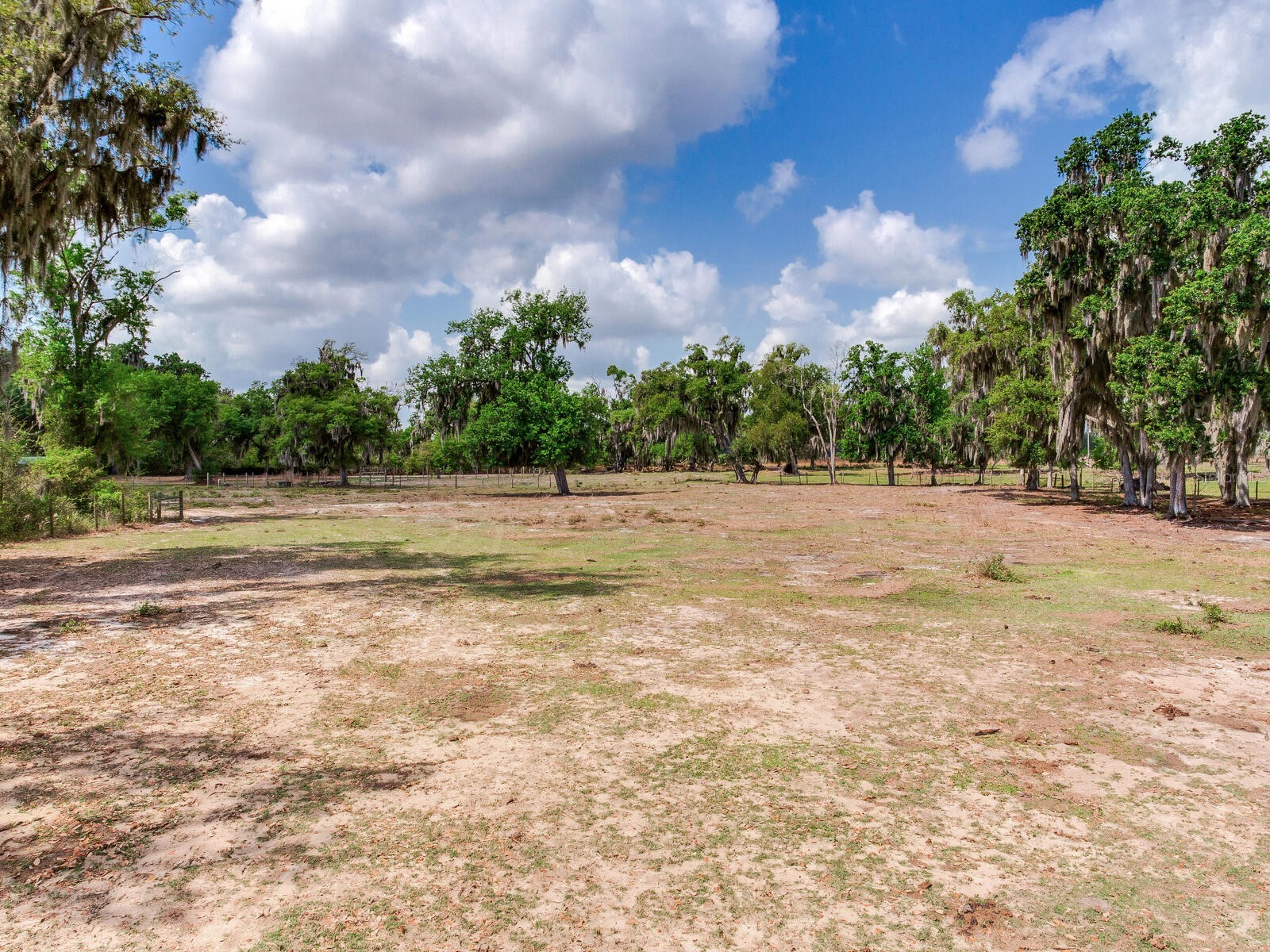 9819 Allen Road Lithia FL 33547 TB8492599 image49