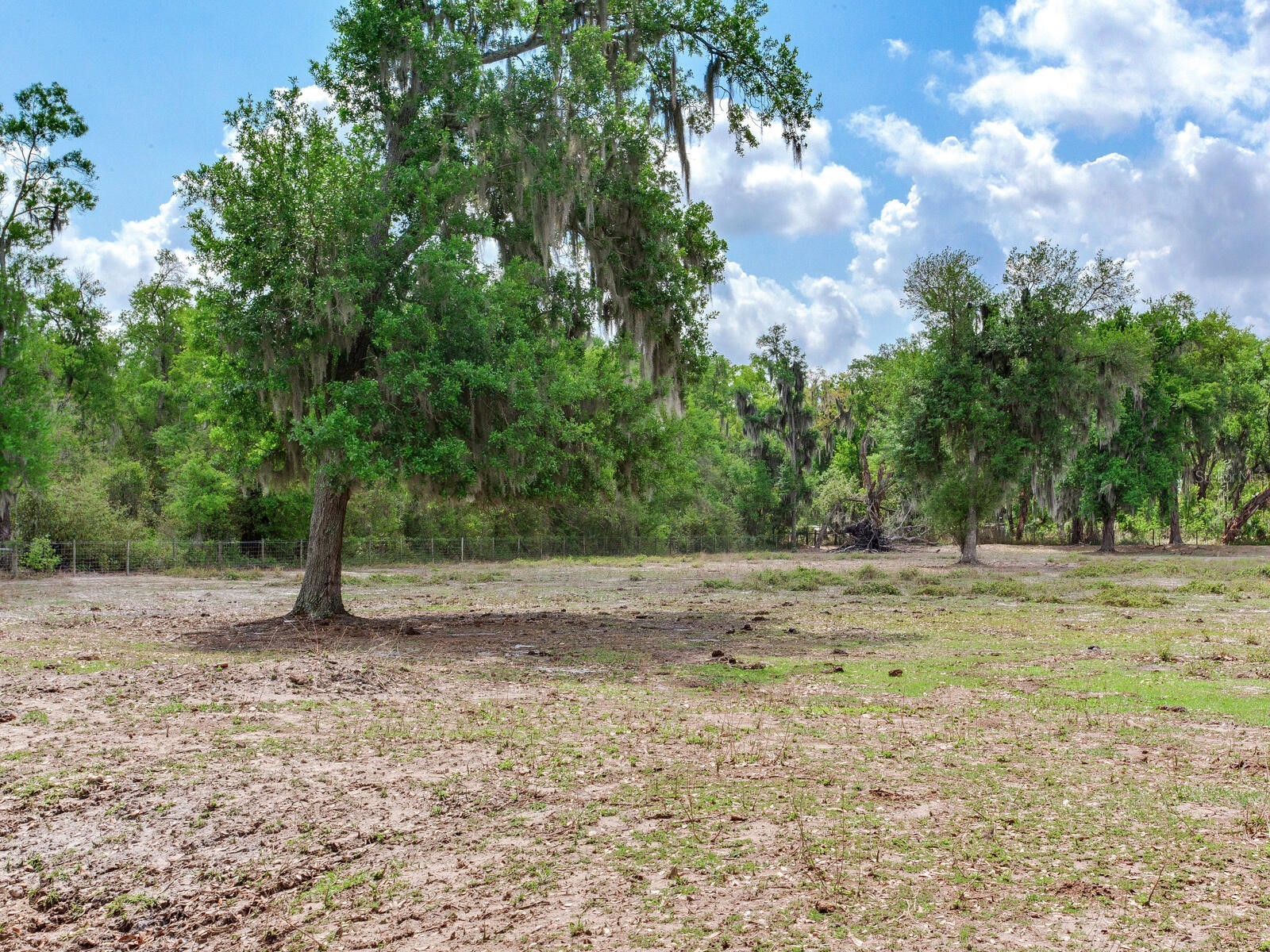 9819 Allen Road Lithia FL 33547 TB8492599 image50
