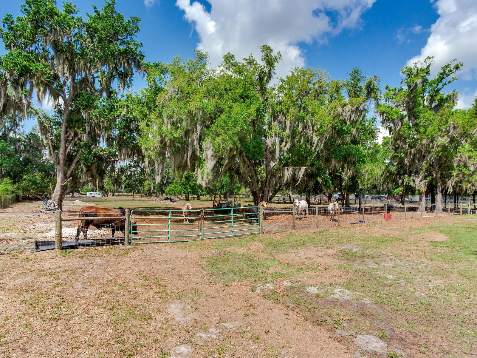9819 Allen Road Lithia FL 33547 TB8492599 image51