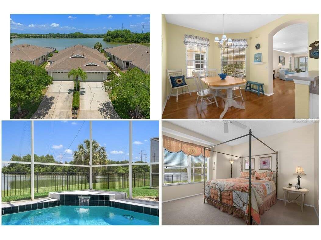 9819 Bridgeton Drive Tampa FL 33626 W7872333 image1