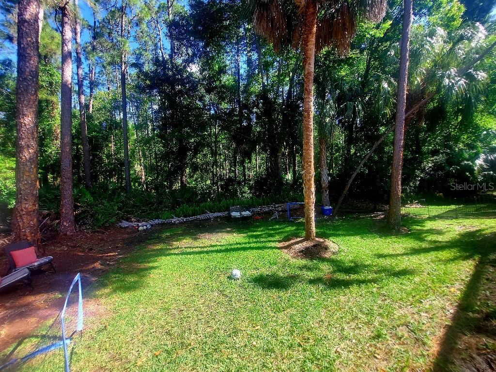9820 Gretna Green Drive Tampa FL 33626 TB8498890 image34