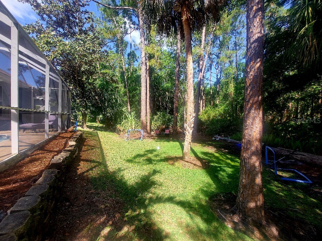 9820 Gretna Green Drive Tampa FL 33626 TB8498890 image35