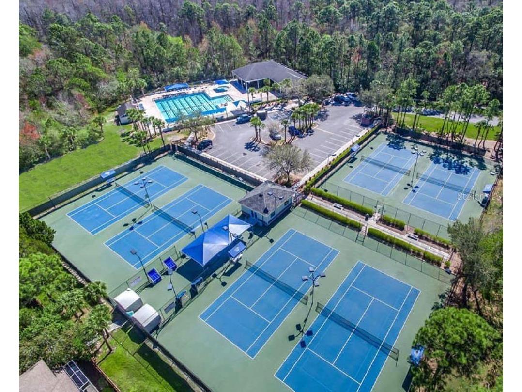 9820 Gretna Green Drive Tampa FL 33626 TB8498890 image36
