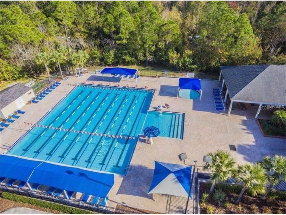 9820 Gretna Green Drive Tampa FL 33626 TB8498890 image37