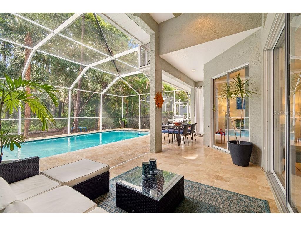 9820 Gretna Green Drive Tampa FL 33626 TB8498890 image46