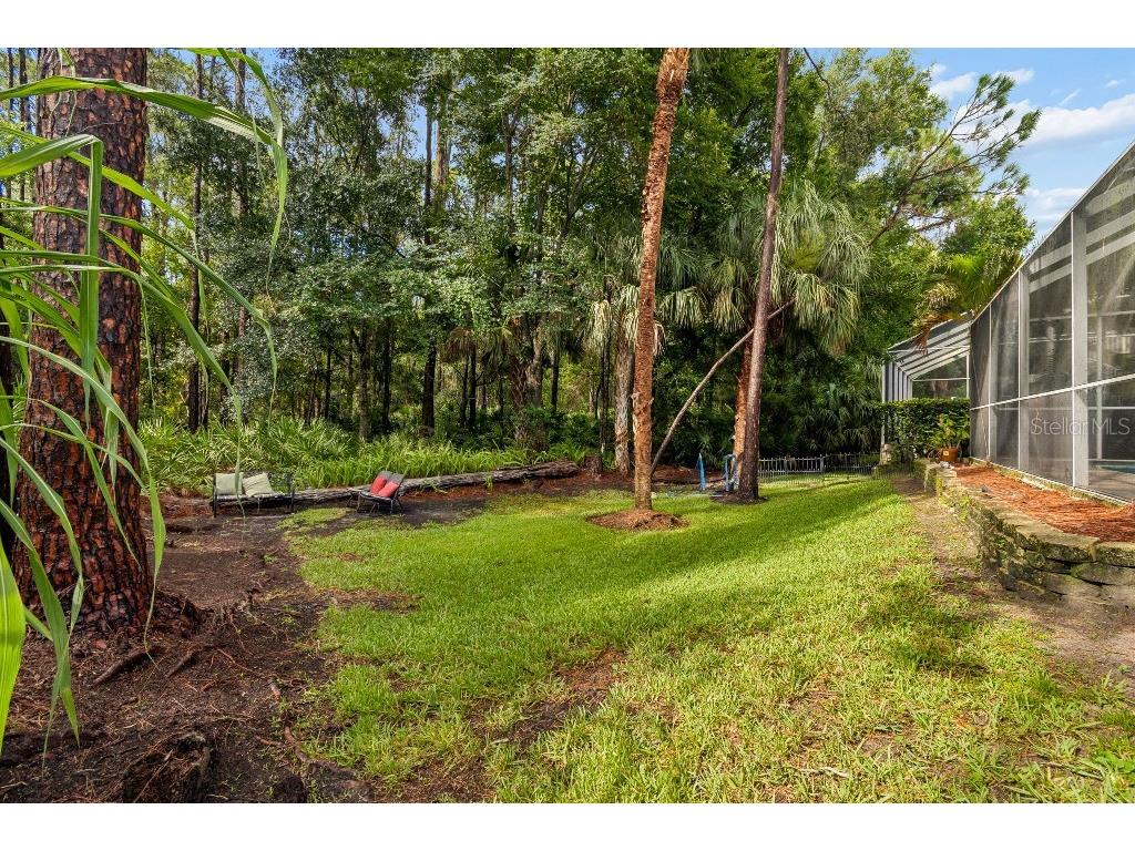 9820 Gretna Green Drive Tampa FL 33626 TB8498890 image47