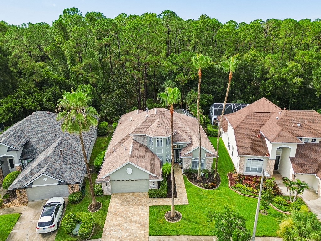 9820 Gretna Green Drive Tampa FL 33626 TB8498890 image48