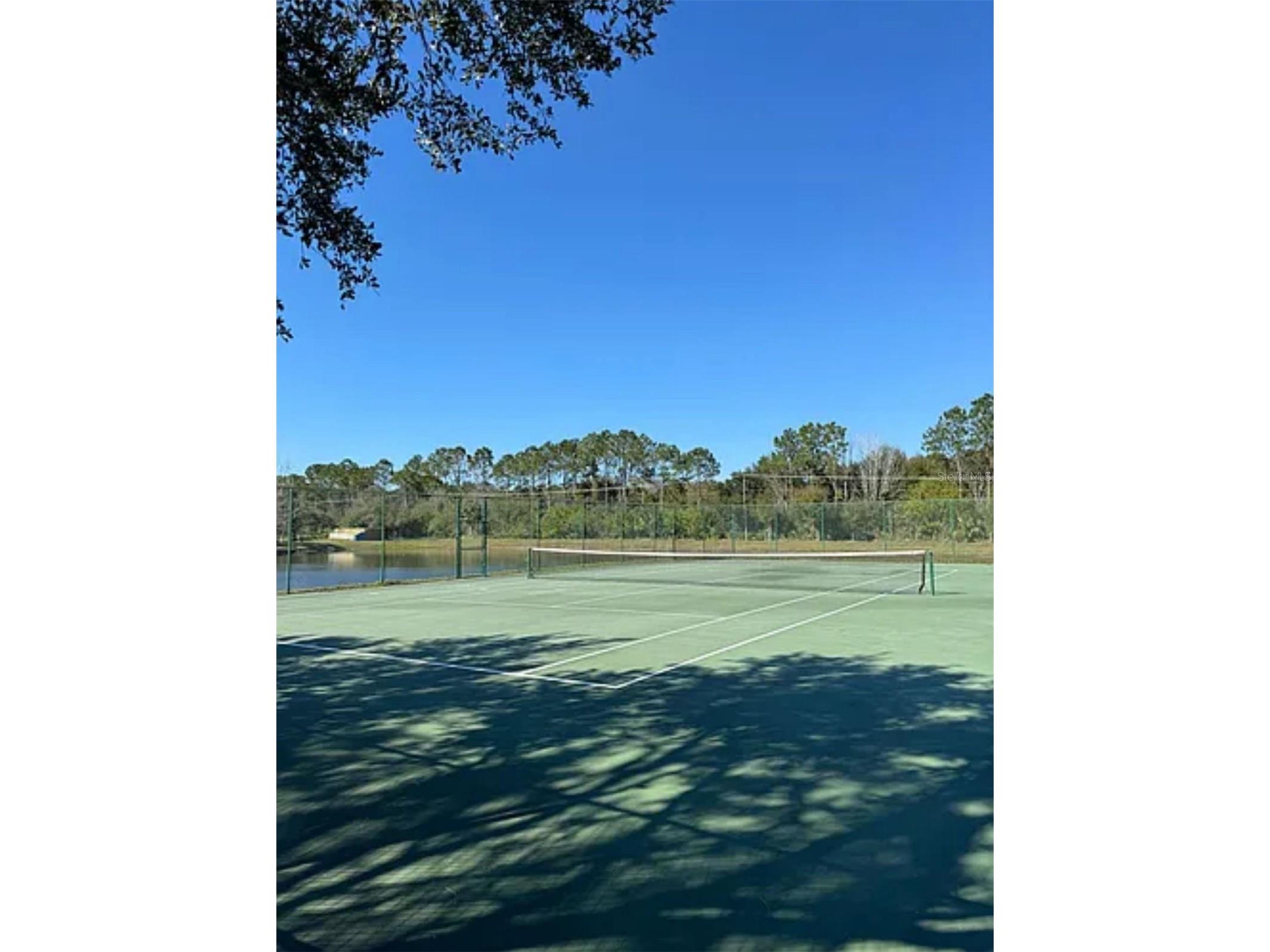 9820 Lake Chase Island Way #9820 Tampa FL 33626 - LAKE CHASE TB8471251 image28