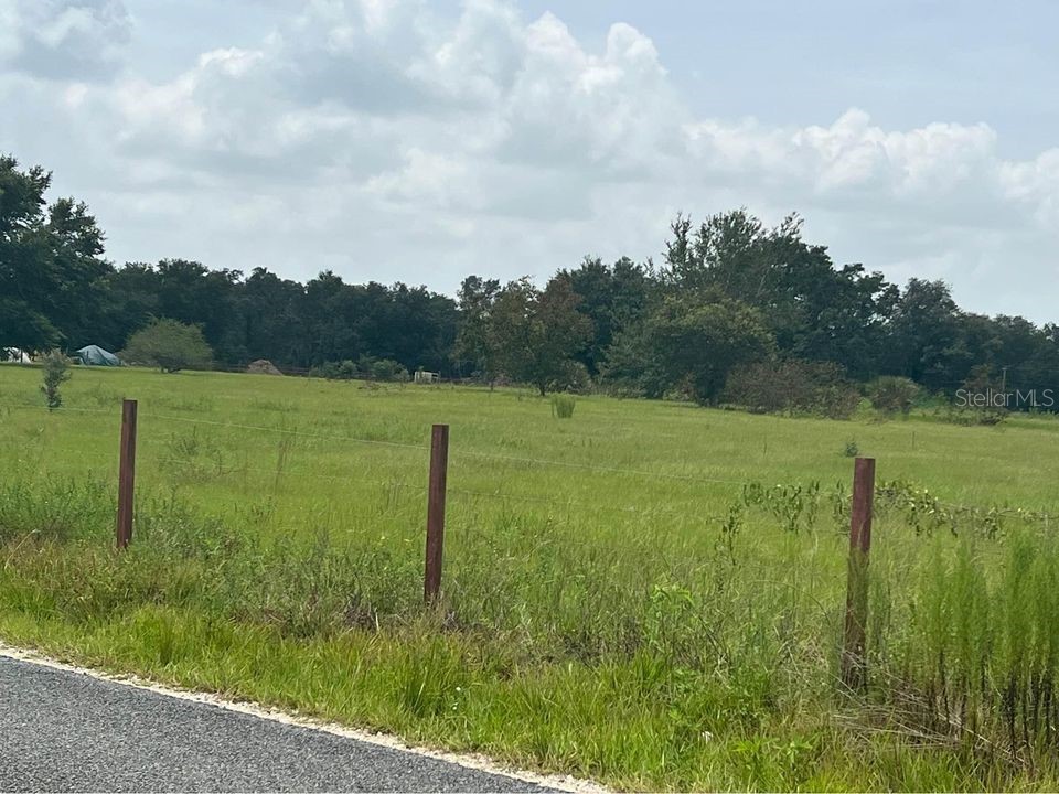 9820 SE 160th Avenue Ocklawaha FL 32179 OM645236 image1